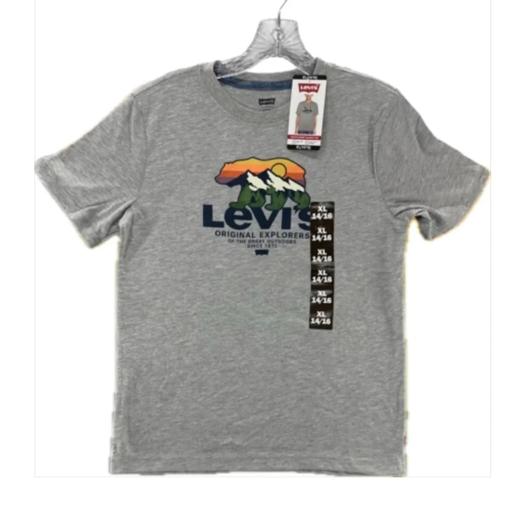 Levi's Gray Tee with Colorful Mountain Graphic - Picture 3 of 4